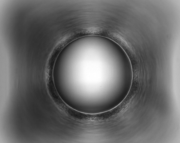 X0000096630736200802051106