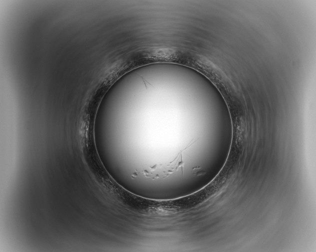 X0000096630739200802051106