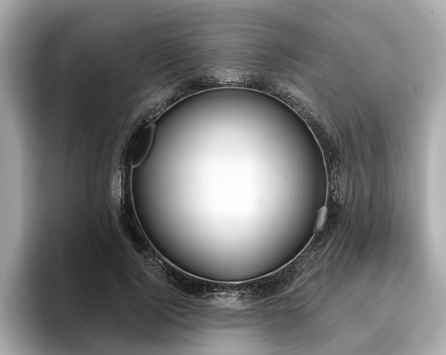 X0000096630740200802051106