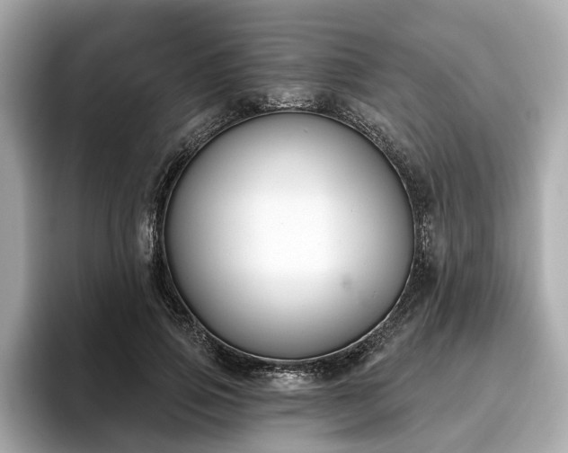X0000096630741200802051106