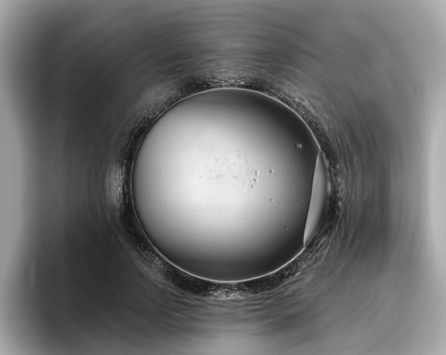 X0000096630742200802051106