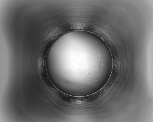 X0000096630743200802051106