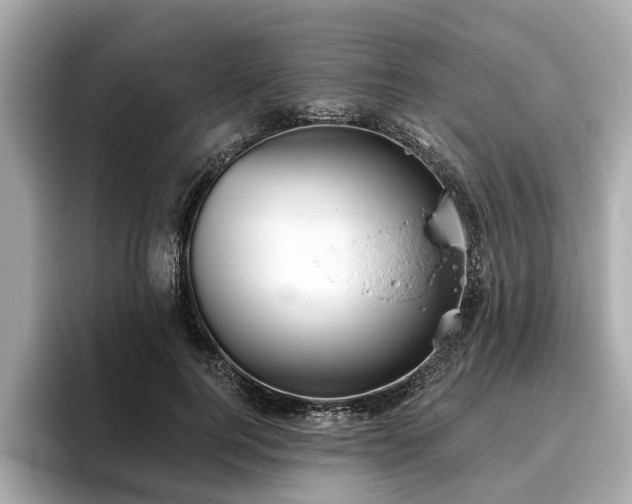 X0000096630744200802051106