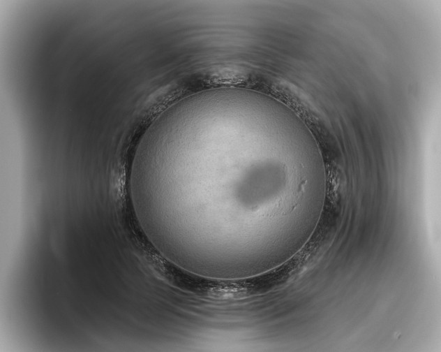 X0000096630745200802051106