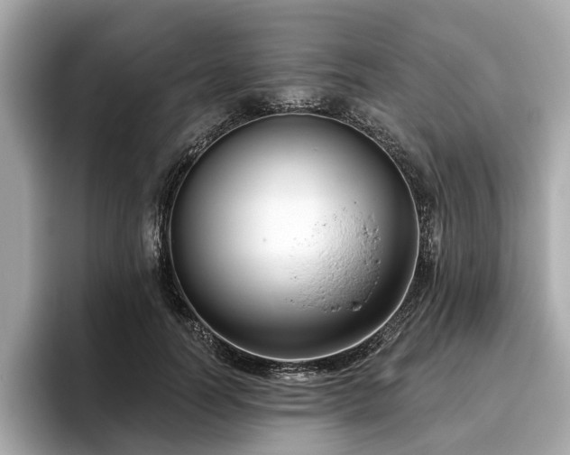 X0000096630746200802051107