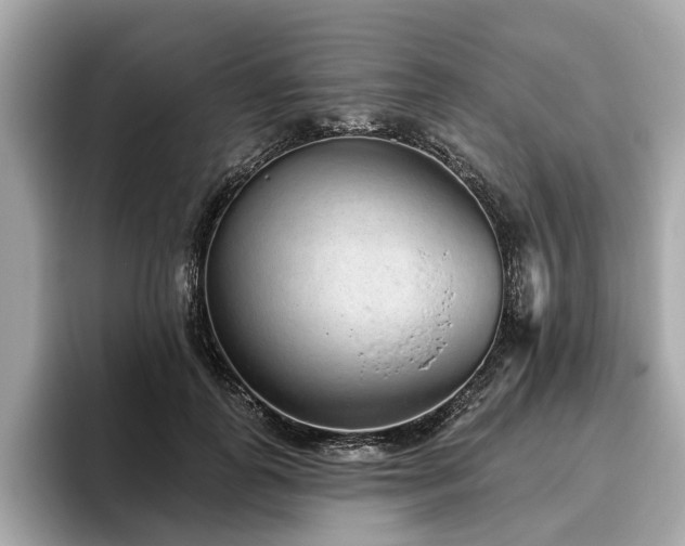 X0000096630747200802051107