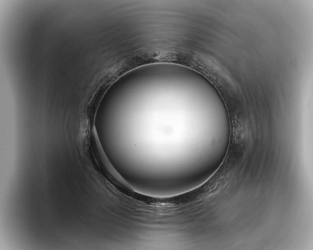 X0000096630748200802051107