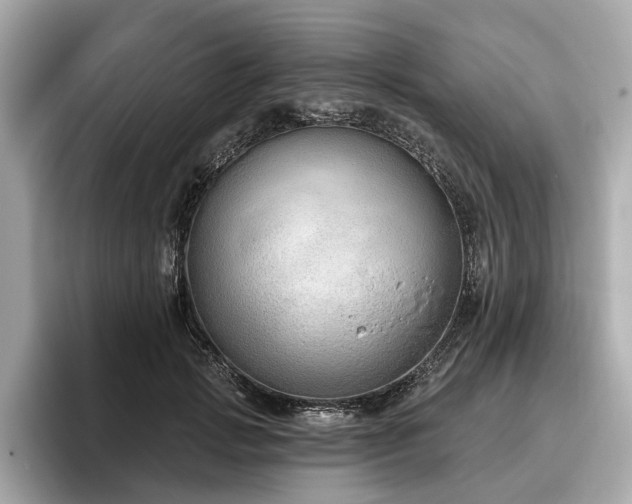 X0000096630749200802051107