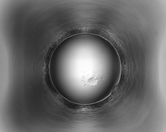 X0000096630750200802051107