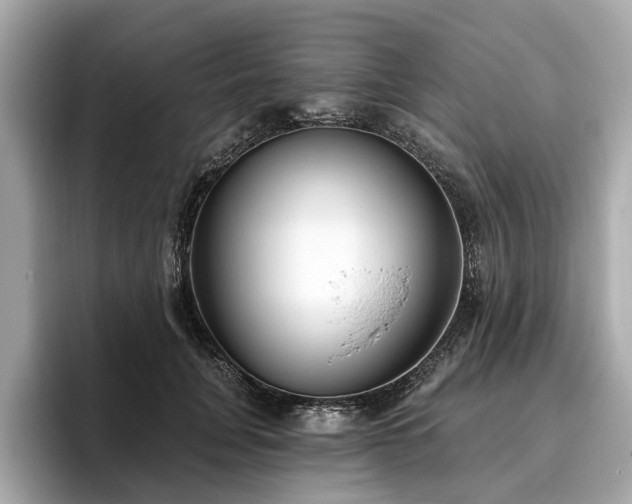 X0000096630751200802051107