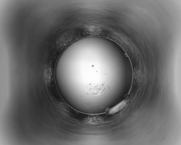 X0000096630752200802051107