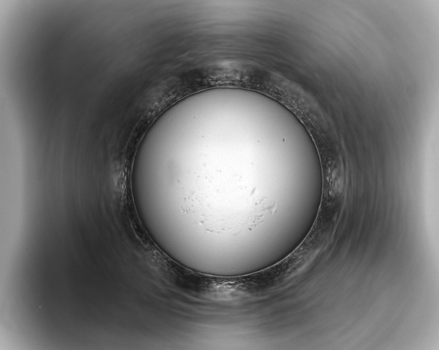X0000096630753200802051107