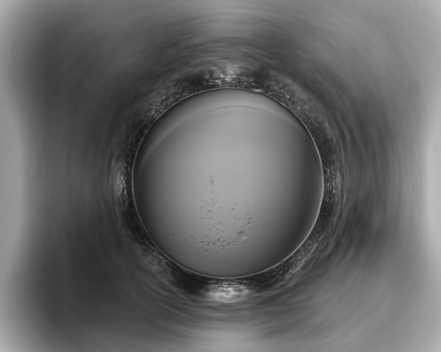 X0000096630754200802051107
