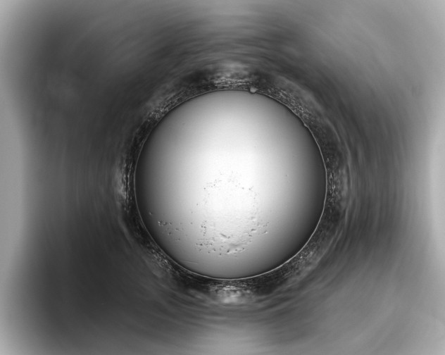 X0000096630755200802051107