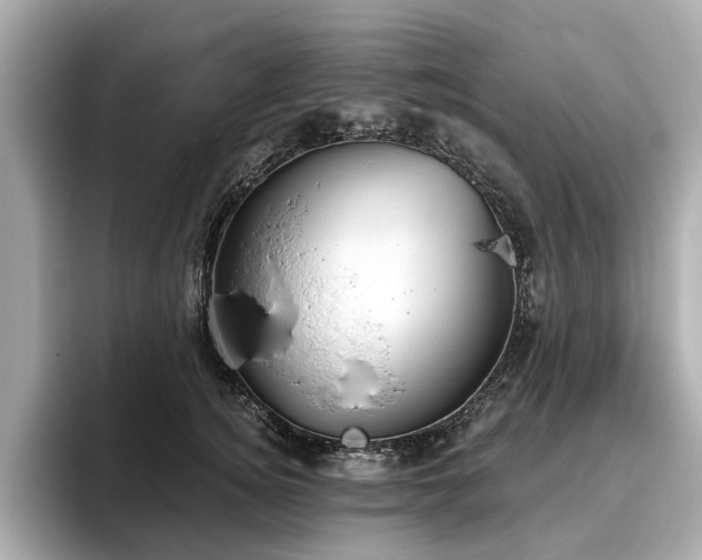 X0000096630756200802051107