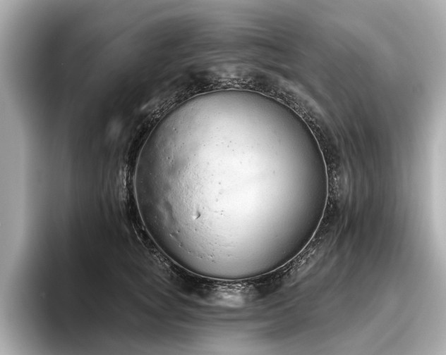 X0000096630757200802051107