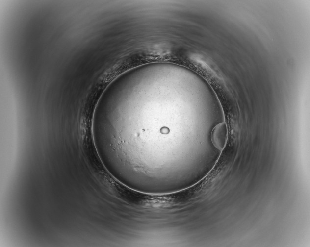 X0000096630758200802051107