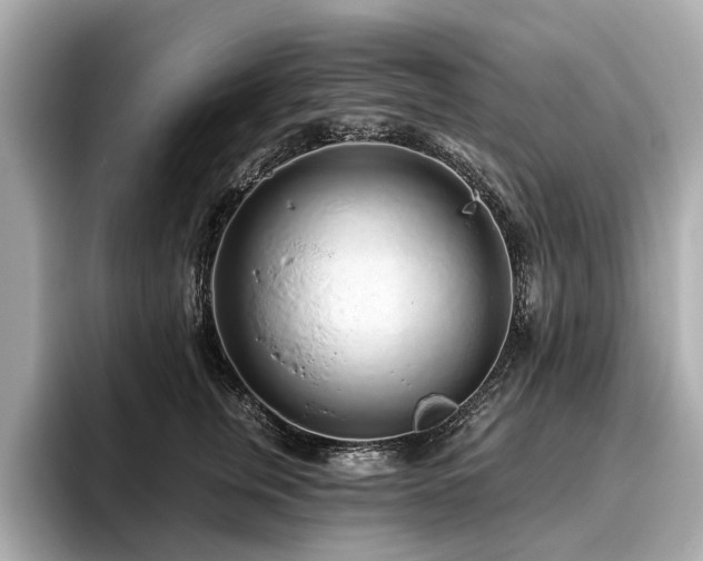 X0000096630759200802051107