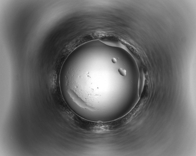 X0000096630760200802051107