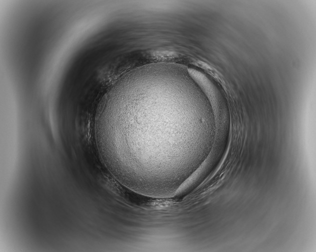 X0000096630762200802051107