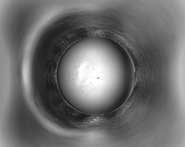 X0000096630764200802051107