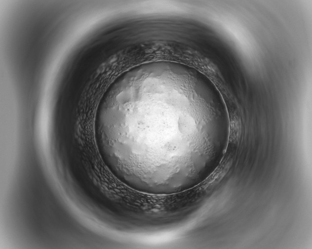 X0000096630765200802051107