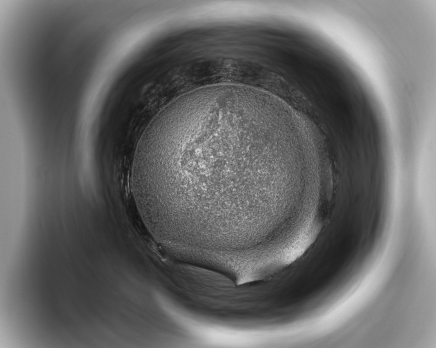 X0000096630766200802051107