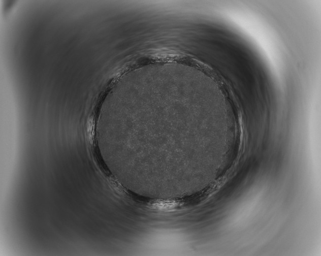 X0000096630767200802051107