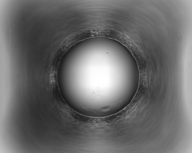 X0000096630770200802051106