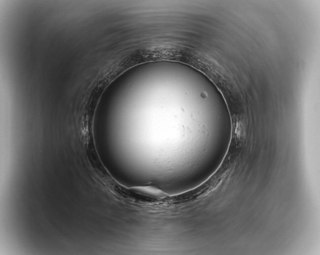 X0000096630771200802051106