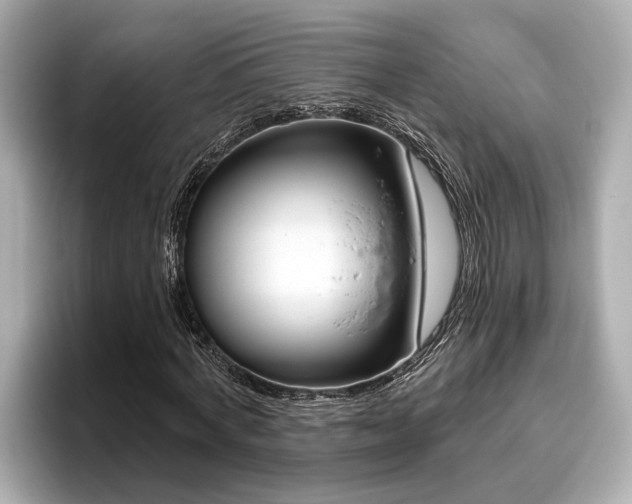 X0000096630772200802051106