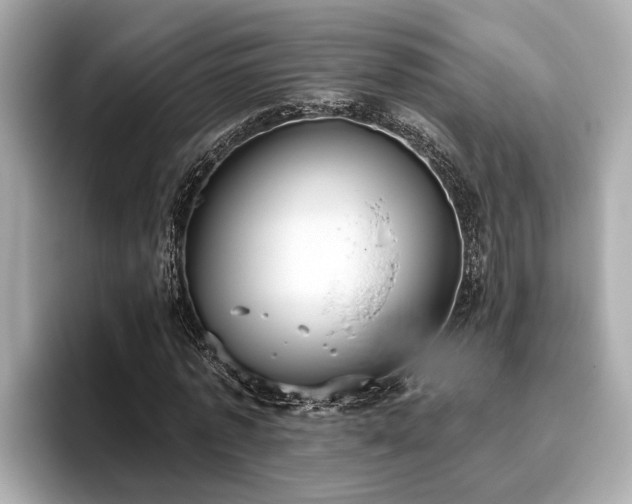 X0000096630773200802051106