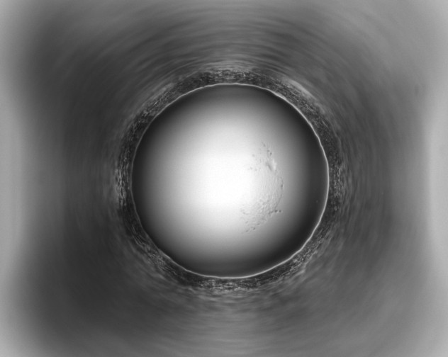 X0000096630774200802051106