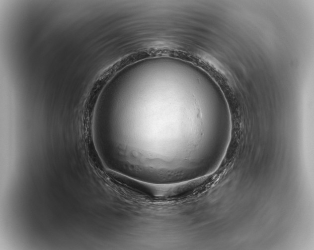 X0000096630775200802051106