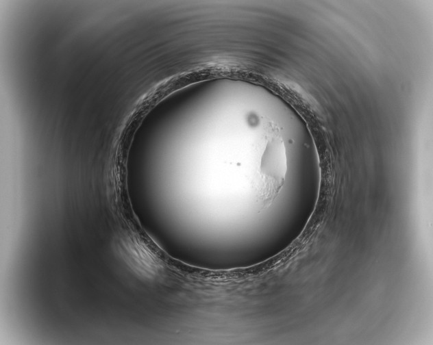 X0000096630776200802051106