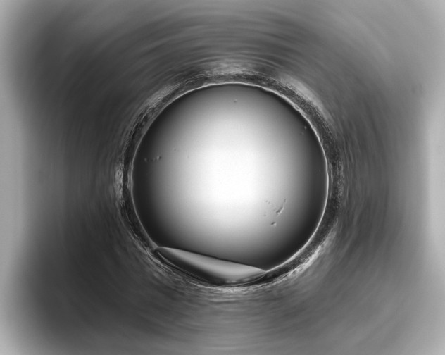 X0000096630777200802051106