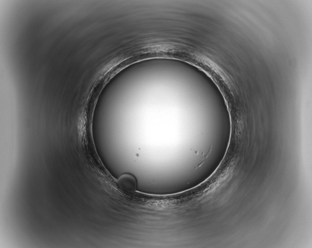 X0000096630778200802051106