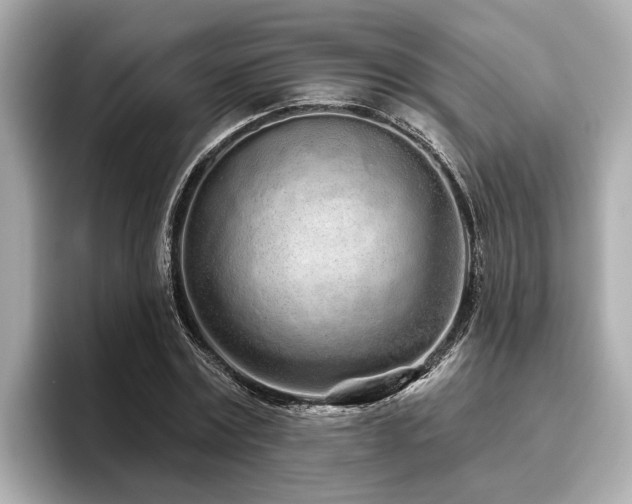 X0000096630779200802051106