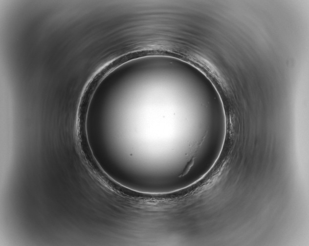 X0000096630780200802051106