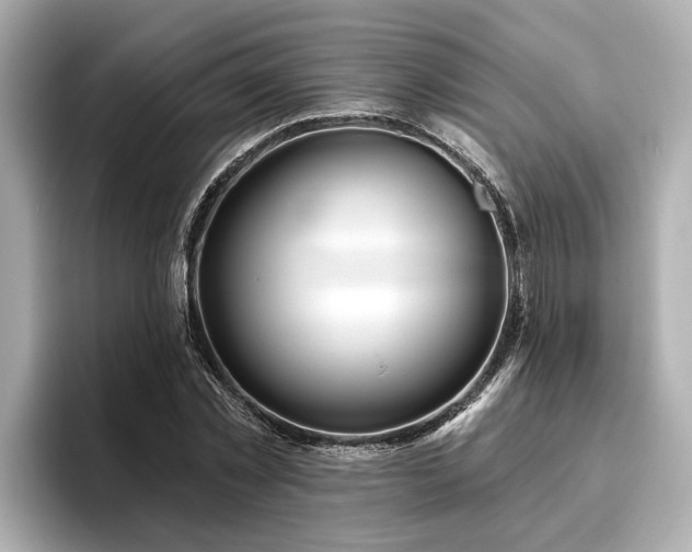 X0000096630781200802051106