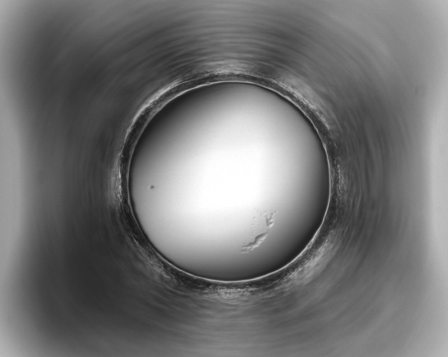 X0000096630782200802051106