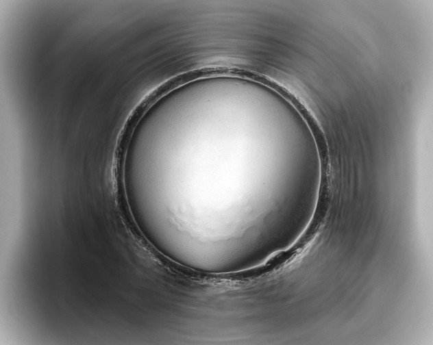 X0000096630783200802051106