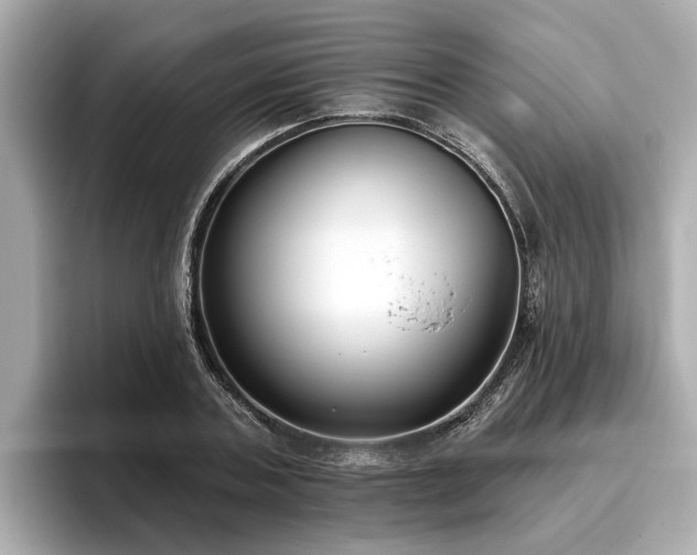 X0000096630787200802051106