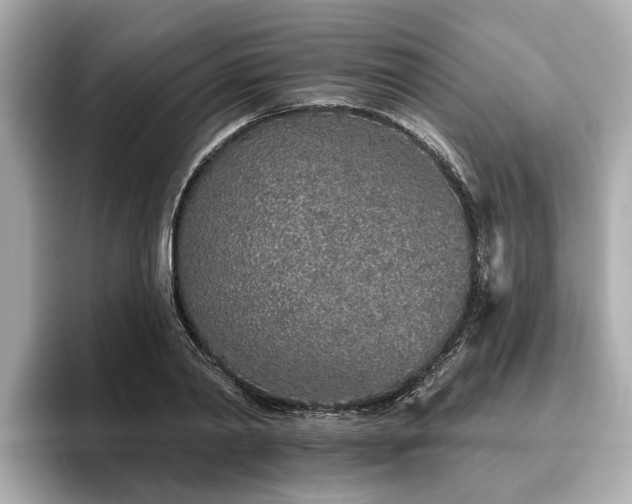 X0000096630790200802051106