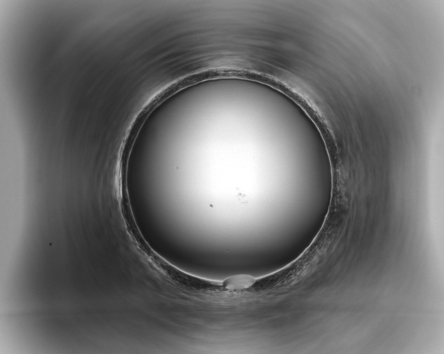 X0000096630791200802051106