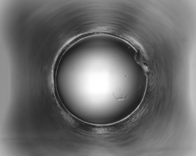 X0000096630792200802051106
