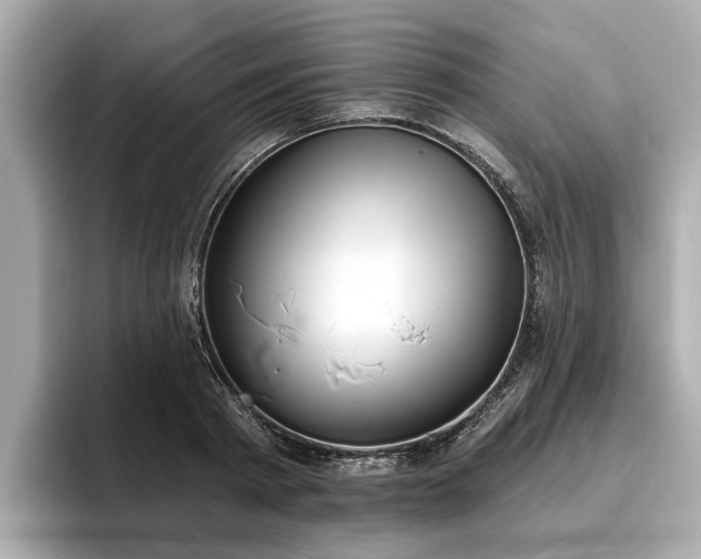 X0000096630793200802051106