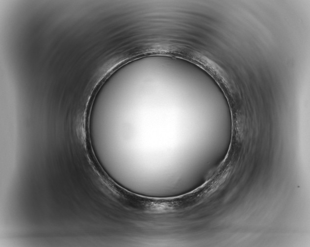 X0000096630794200802051106