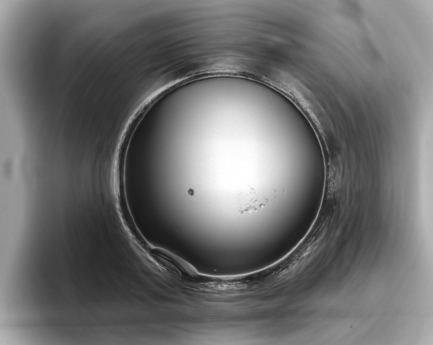 X0000096630795200802051106