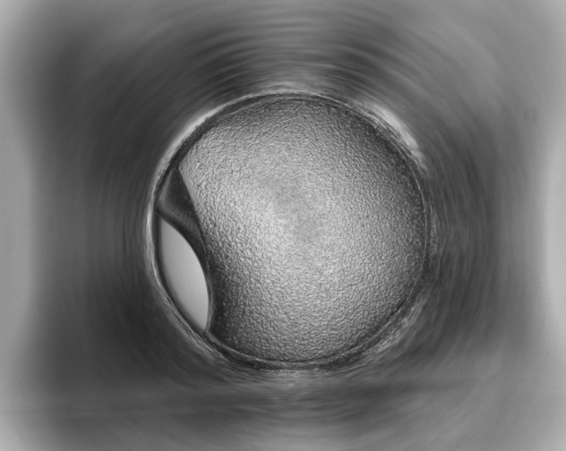 X0000096630796200802051106